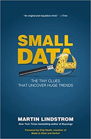 small data martin lindstrom