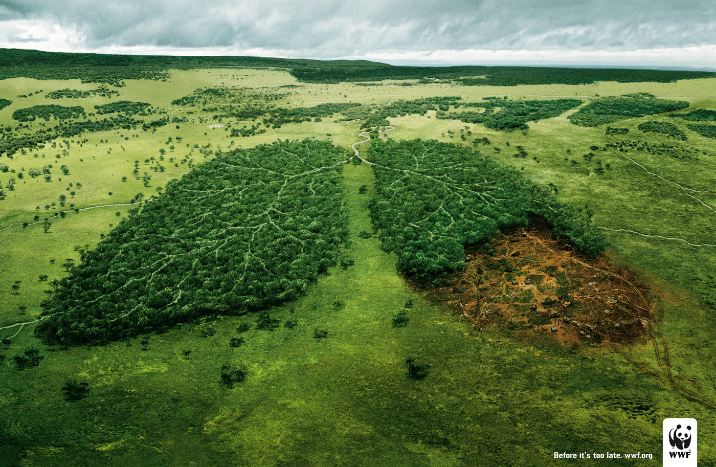 visual_storytelling_WWF